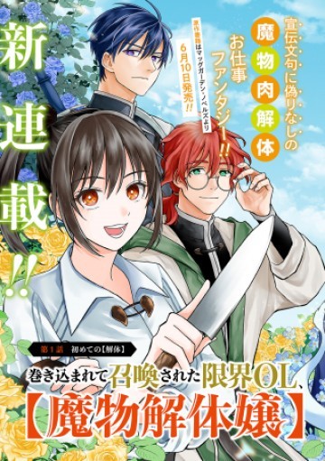 巻き込まれて召喚された限界OL、ギルド所属の【魔物解体嬢】として奮闘中 THE COMIC