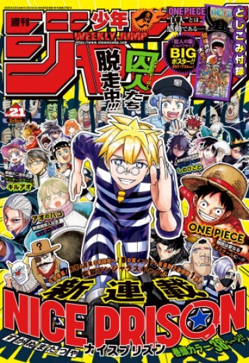 ナイスプリズン
